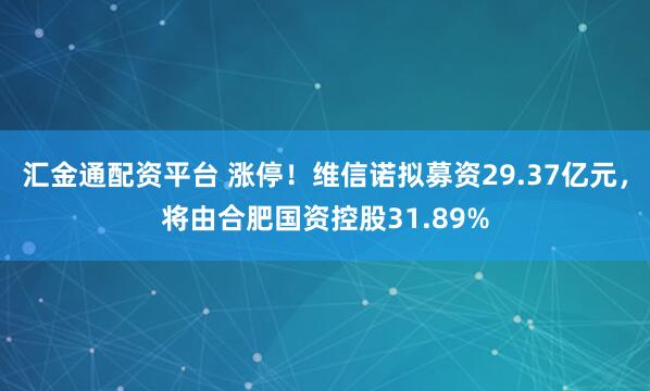 汇金通配资平台 涨停！维信诺拟募资29.37亿元，将由合肥国资控股31.89%