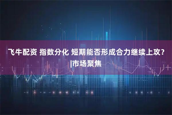 飞牛配资 指数分化 短期能否形成合力继续上攻？|市场聚焦