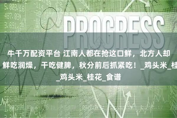 牛千万配资平台 江南人都在抢这口鲜，北方人却没见过！鲜吃润燥，干吃健脾，秋分前后抓紧吃！_鸡头米_桂花_食谱