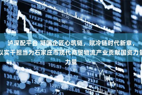 泸深配平台 凝国企匠心筑链，赋冷链时代新章，以实干担当为石家庄市现代商贸物流产业贡献国资力量